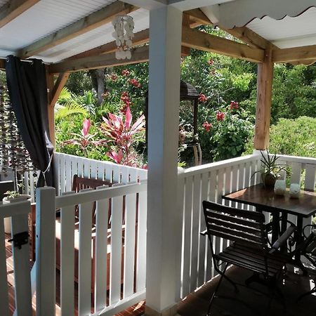 Les Gites De Casita By Kreyol Animal Grand-Bourg  Buitenkant foto