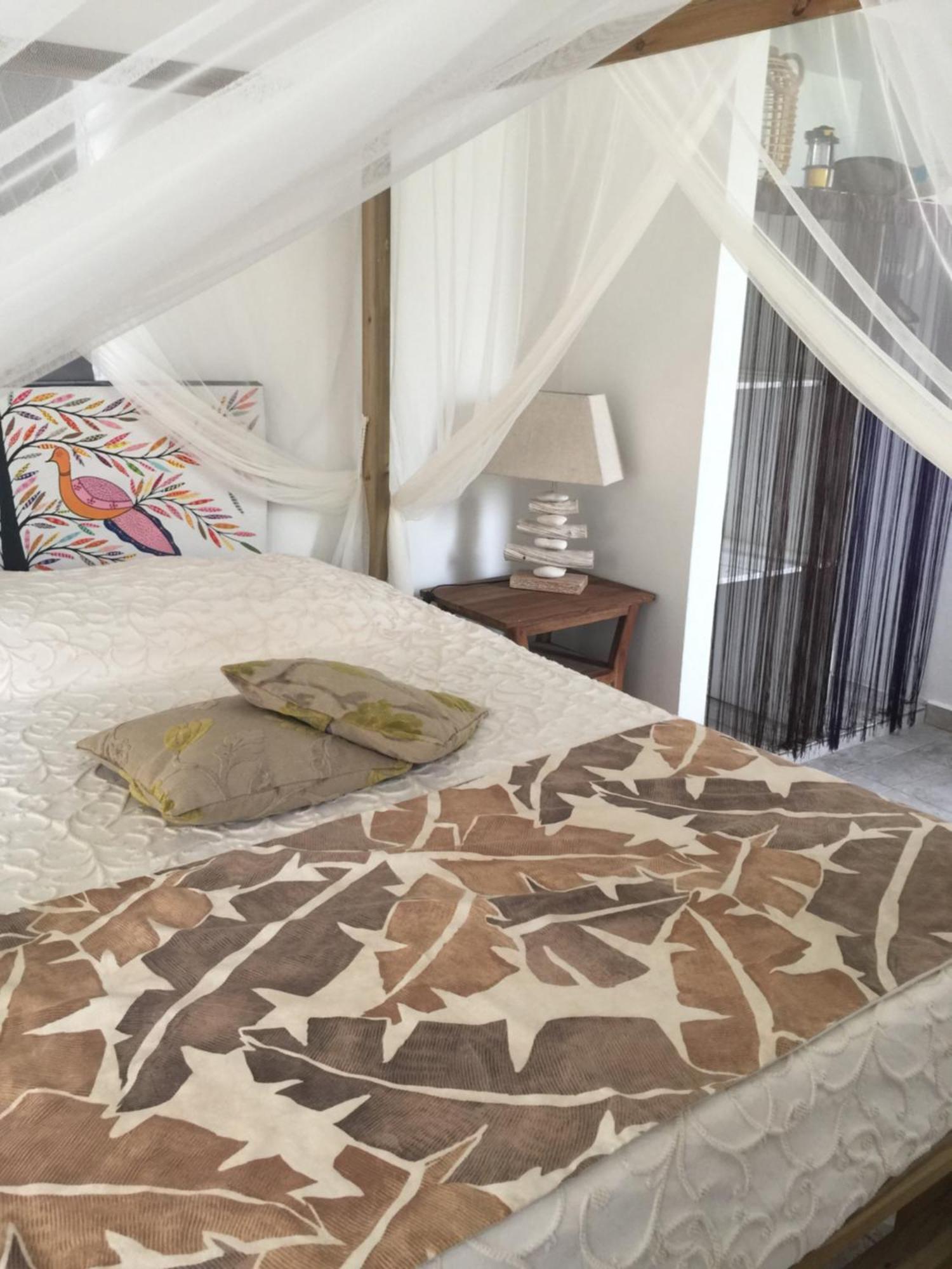 Les Gites De Casita By Kreyol Animal Grand-Bourg  Buitenkant foto