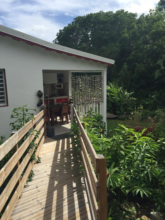 Les Gites De Casita By Kreyol Animal Grand-Bourg  Buitenkant foto