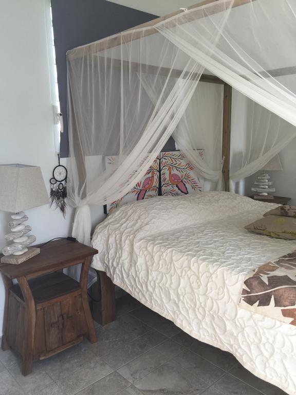 Les Gites De Casita By Kreyol Animal Grand-Bourg  Buitenkant foto