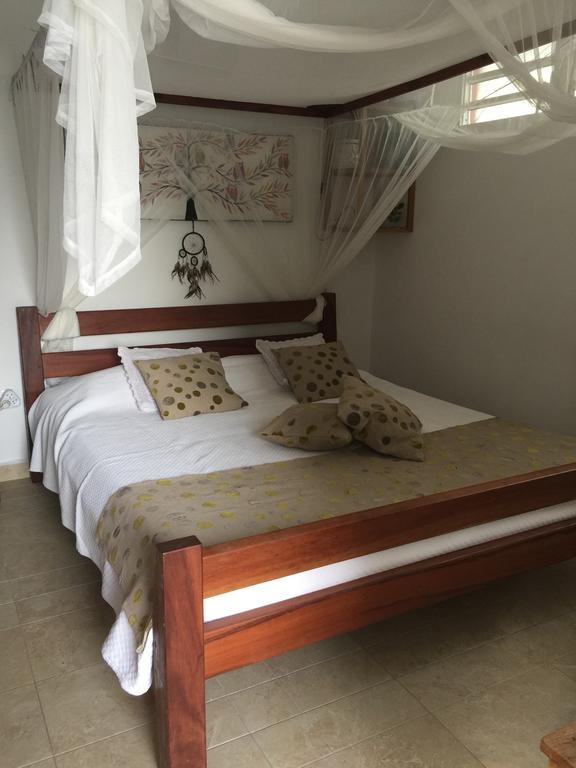 Les Gites De Casita By Kreyol Animal Grand-Bourg  Buitenkant foto