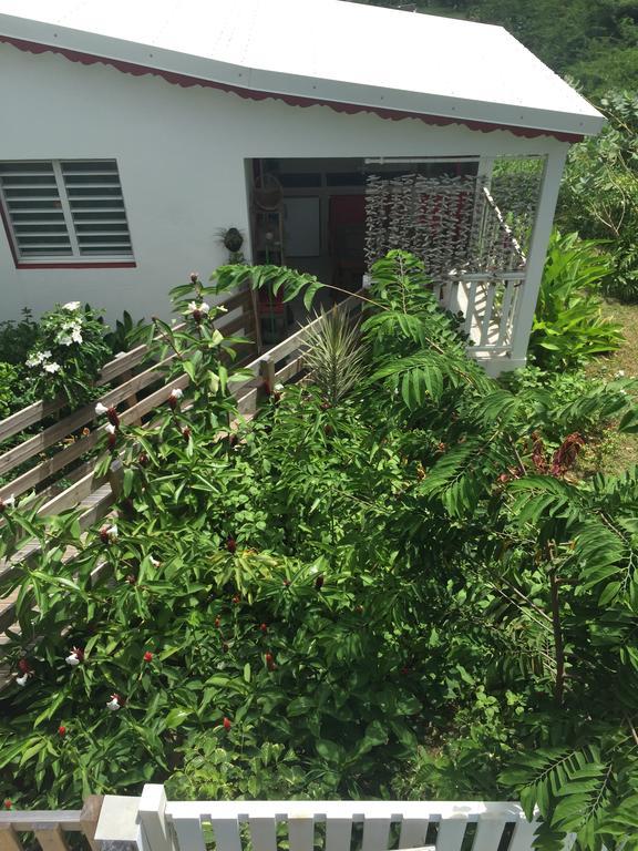 Les Gites De Casita By Kreyol Animal Grand-Bourg  Buitenkant foto