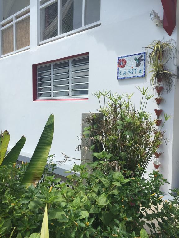Les Gites De Casita By Kreyol Animal Grand-Bourg  Buitenkant foto