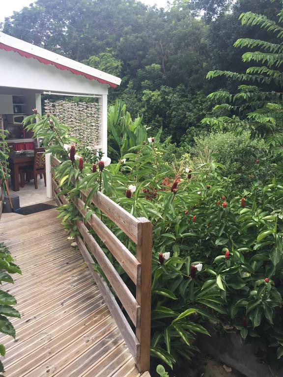 Les Gites De Casita By Kreyol Animal Grand-Bourg  Buitenkant foto