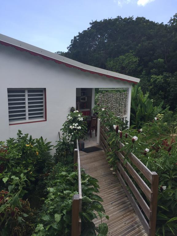 Les Gites De Casita By Kreyol Animal Grand-Bourg  Buitenkant foto