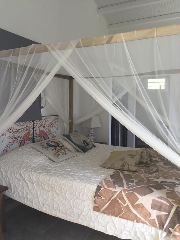 Les Gites De Casita By Kreyol Animal Grand-Bourg  Buitenkant foto