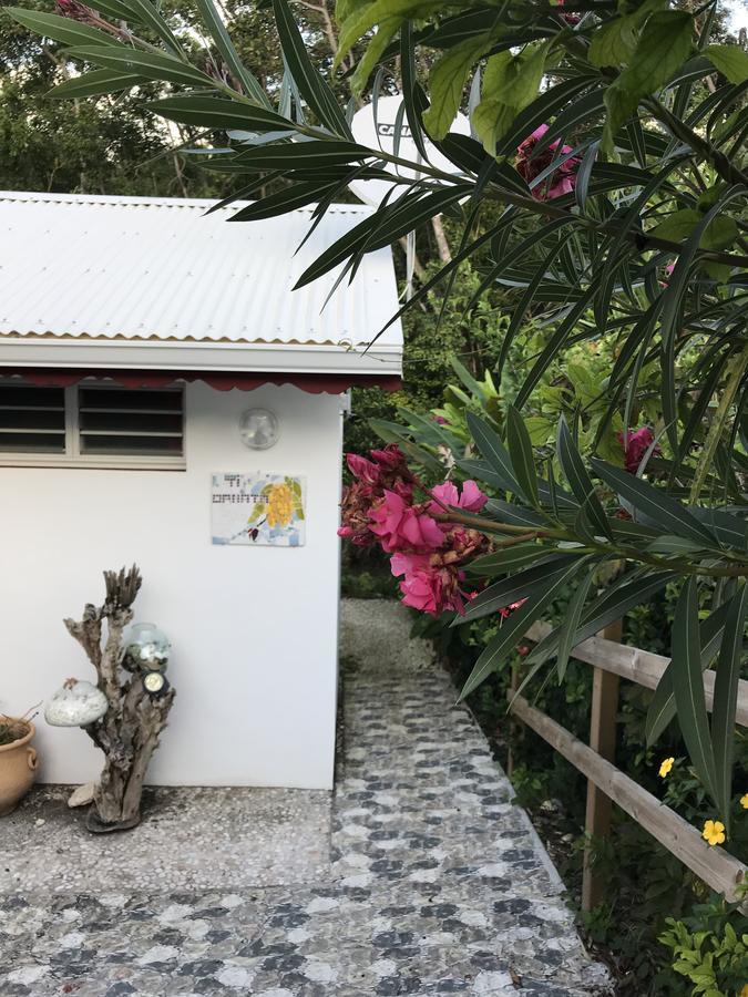 Les Gites De Casita By Kreyol Animal Grand-Bourg  Buitenkant foto