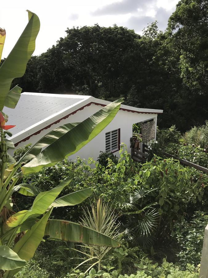 Les Gites De Casita By Kreyol Animal Grand-Bourg  Buitenkant foto