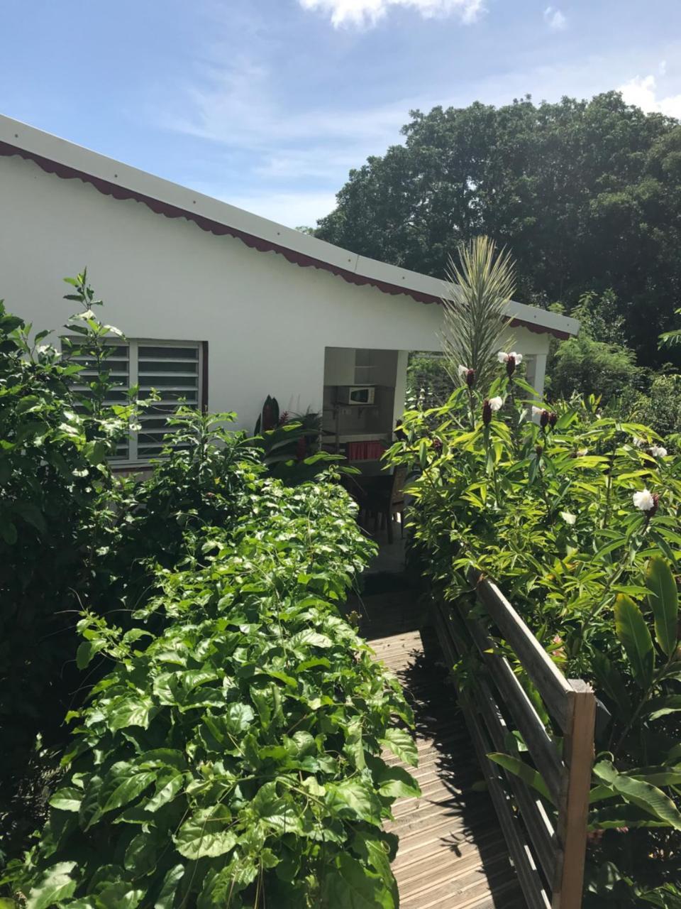 Les Gites De Casita By Kreyol Animal Grand-Bourg  Buitenkant foto
