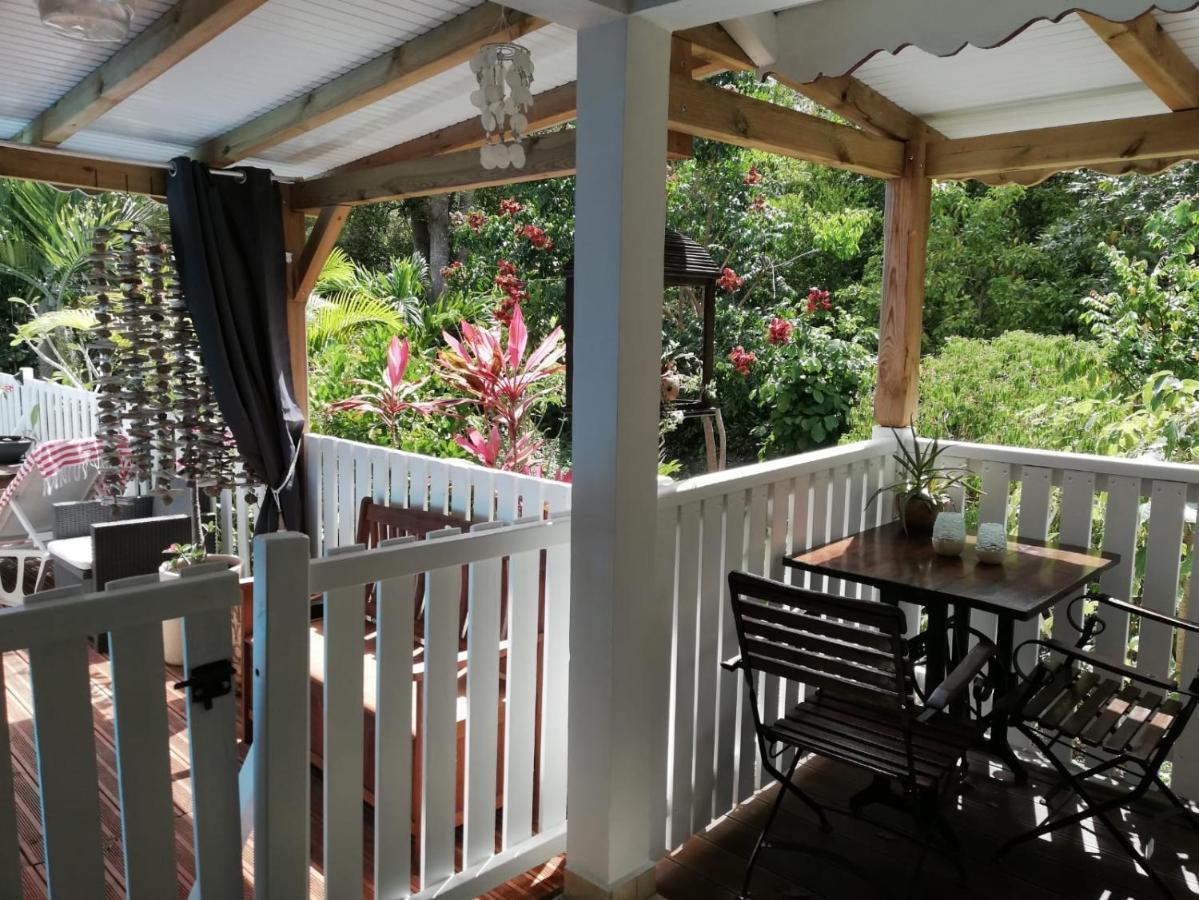 Les Gites De Casita By Kreyol Animal Grand-Bourg  Buitenkant foto